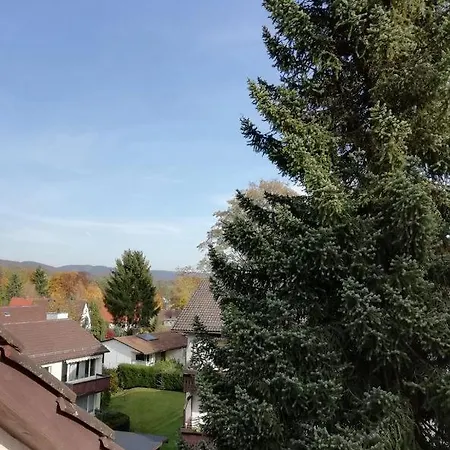 Harzhirsch Ferienwohnung Appartamento Bad Sachsa