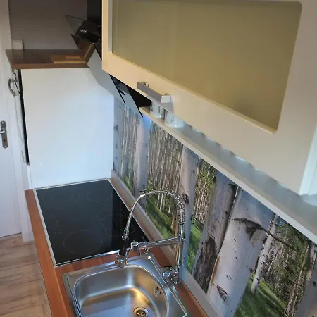Appartamento Harzhirsch Ferienwohnung
